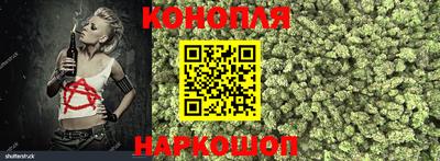 не бодяженный Гай