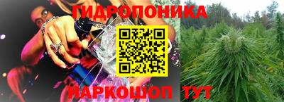 бошки Гатчина