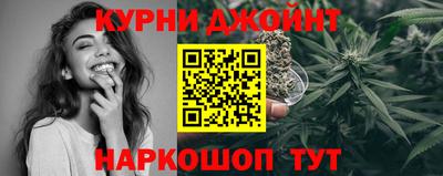 гидра Гагарин