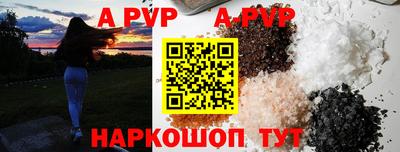 бошки Гатчина